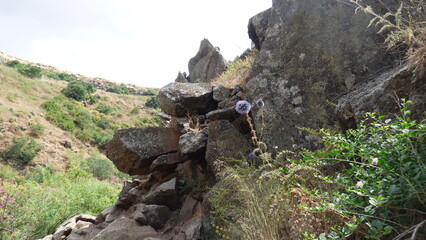 a closeup shot of a rock in the forest.Nature of the island of Crete, Greece. Rocks and vegetation