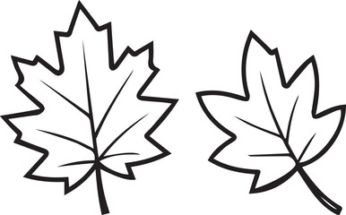 maple, leaf, autumn, fall, nature, foliage, silhouette, seasonal, canada, plant, outline, tree, forest, botanical, orange, red, green, yellow, organic, shape, 