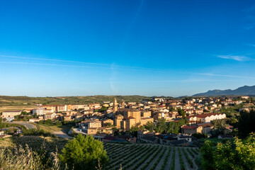 Early Morning Light Over Elciego Village and Vineyards, Rioja Alavesa, Basque Country, Spain