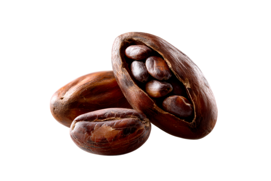 Cocoa beans with shell on a transparent background