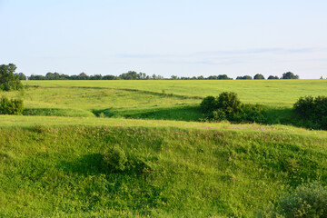 a valley with Green field Under a Clear Sky and some bushes