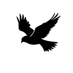 Obraz premium Flying Bird Silhouette on Transparent Background for Design and Decoration