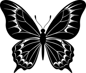 black and white butterfly