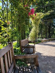 Obraz premium bench in the park