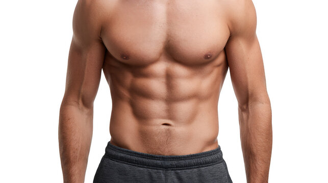 Close up of a muscular male torso showing defined abdominal muscles, highlighting fitness and athleticism on a transparent background, ideal for health, fitness, and bodybuilding concepts - Powered by Adobe