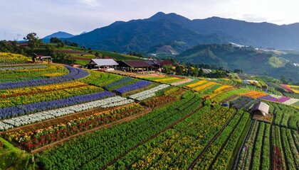 Aerial view of Puncak Tonang Flower Garden Tourism