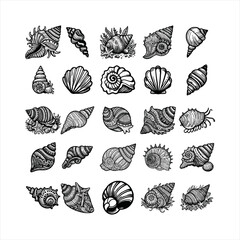 Set of seashell coloring page for kids. Summer outline doodle colouring page isolated on white background. Sea animal coloring book for kids