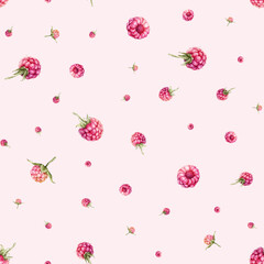 Watercolor seamless pattern with Raspberries and blackberries. Hand drawing illustration red berries. Graphic design element isolated on white background.