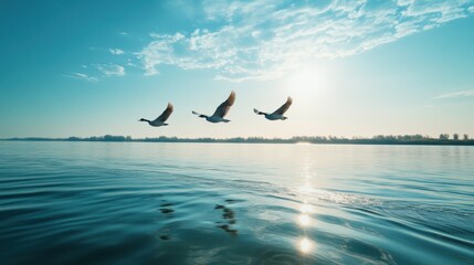 blue sky,The Yellow River flows into the sea, and three wild gooses fly over it with their wings outstretched. The background is an endless lake surface
