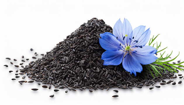 black cumin seeds with blue cumin flower isolated on white transparent background png element
