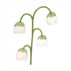 A watercolor flower with gentle lines and soft colors, perfect for creating custom bouquets and floral arrangements.