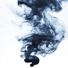 Fototapeta premium Abstract Black Smoke Swirling in Soft White Background