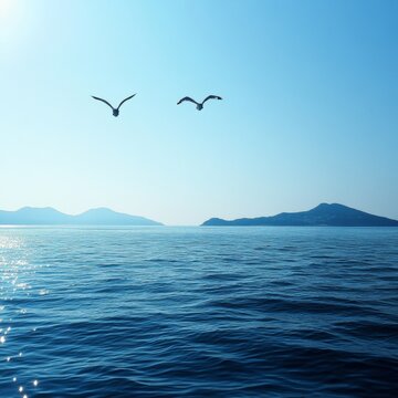 Serene Landscape of Ocean with Two Birds Flying in Clear Sky