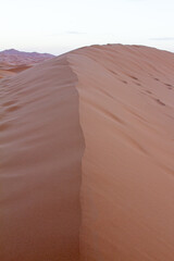 Breathtaking panoramic view of vast Sahara Desert sand dunes stretching to the horizon under a soft, diffused twilight sky. The undulating peaks and valleys showcase the immense, serene beauty of this