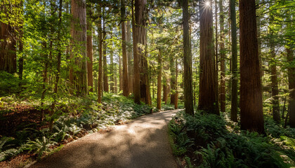 Fototapeta premium a winding forest path surrounded by tall trees and dappled sunlight serene and encouraging
