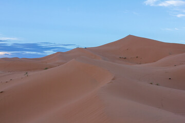 A close-up, abstract view of the undulating curves and textures of a desert sand dune, with subtle...