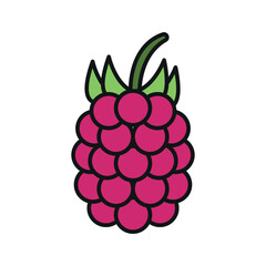 Colored raspberry with natural highlights. Works well for food, health, or grocery icons.