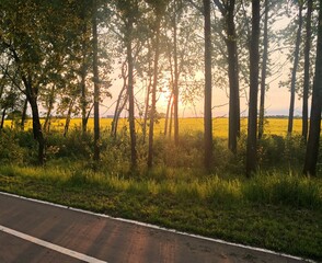 Fototapety na wymiar - Fototapeta24.pl