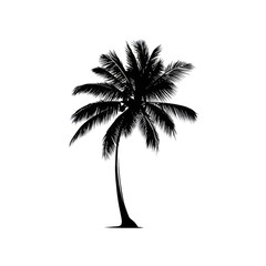 Silhouette of a palm tree, dark, detailed