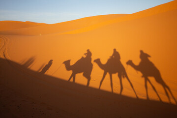 Dramatic long shadows of camels and their riders stretch across vibrant golden sand dunes in the vast Sahara Desert, evoking adventure and timeless journeys
