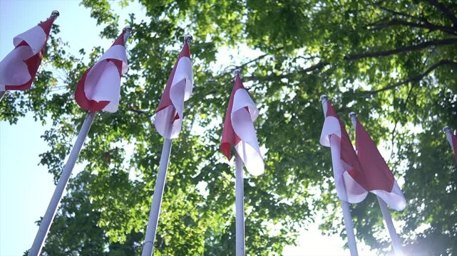 Several Indonesian flags waving under the sunlight with green trees in the background.