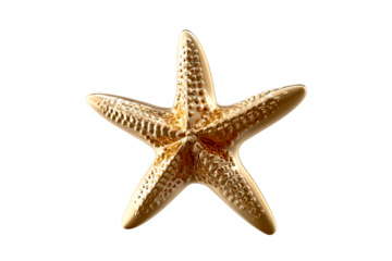 Golden starfish with a transparent background in a vivid display