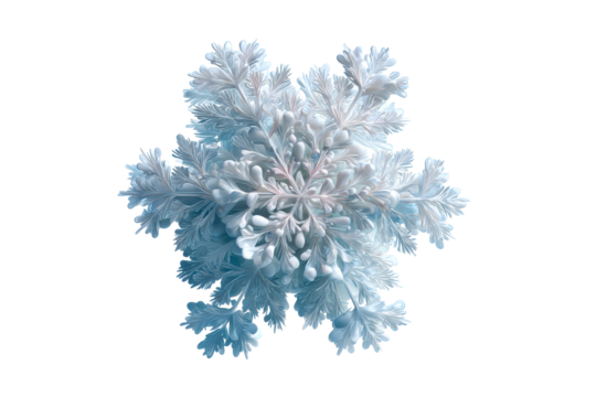 Delicate white snowflake design for winter decorations