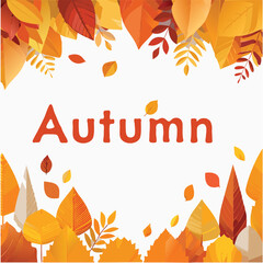 autumn leaves background