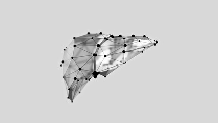 3d render of low-poly liver over white background. Liver wireframe made of balck points. 3d illustration