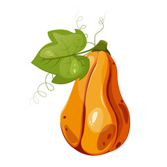 Pumpkin with leaf for autumn harvest,Halloween,Thanksgiving design.For greeting cards, posters, flyers, banners for fall festivals and farmers’ markets, packaging,website, game icons, textile design