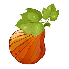 Pumpkin with leaf for autumn harvest,Halloween,Thanksgiving design.For greeting cards, posters, flyers, banners for fall festivals and farmers’ markets, packaging,website, game icons, textile design