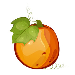 Pumpkin with leaf for autumn harvest,Halloween,Thanksgiving design.For greeting cards, posters, flyers, banners for fall festivals and farmers’ markets, packaging,website, game icons, textile design