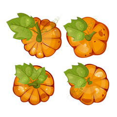 Pumpkins with leaves for autumn harvest,Halloween,Thanksgiving design.For greeting cards, posters, flyers, banners for fall festivals and farmers’ markets, packaging,website, game icons, textile