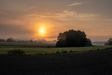 morning in farmland 2