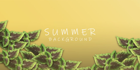 Tropical Leaf Border on Yellow Gradient Summer Background


