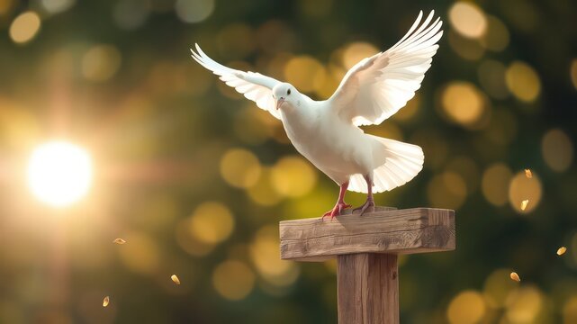 Gentle sunlight illuminates a white bird as it prepares for flight from a weathered wooden post, nature's beauty shining through.
