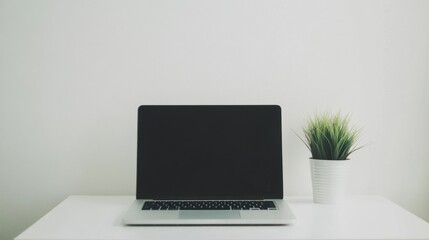 Laptop and plant on a desk