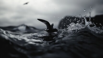 Centered composition, a bird on the sea, high saturation
