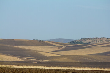 A rustic outdoor display features numerous colorful, handcrafted ceramic plates and bowls hanging on a textured reed fence, with terracotta pots and unglazed pottery arranged on a wooden table in the 