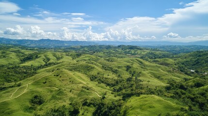Fototapeta premium Aerial view of lush green rolling hills under a bright blue sky
