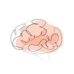The human brain on a white background. Minimalism. Line art.