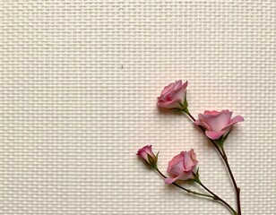 cream woven paper fiber texture in minimal earth tones, position: on the right side of the image, position: ample copy space on the left for text or graphics.