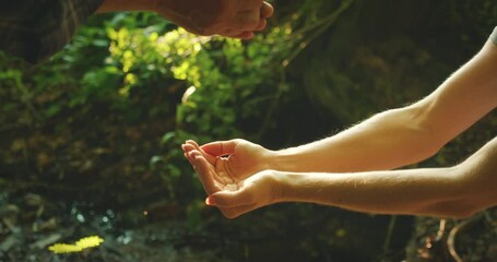 Elder and young hands holding sapling together in forest on International Forest Day