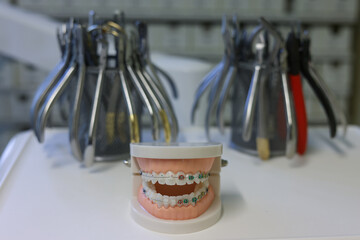 Dentist's work in dental office, showing jaw with braces. Orthodontic treatment, dental care concept.