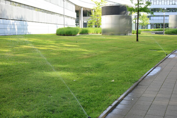 Obraz premium Sprinkler system watering a lush green lawn on a sunny day.