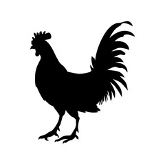 rooster silhouette on white background