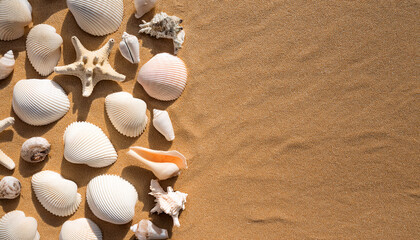 trend pattern from seashells and coral on sandy color background minimal photo at sunlight summer vacation concept beach mood nautical design top view nature aesthetics still life