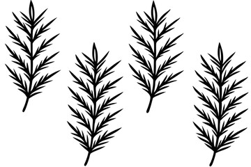 Minimalist Fir Branch Line Art Vector Set