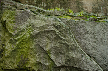 Moss on the stone, wall with moss, old house, dampness