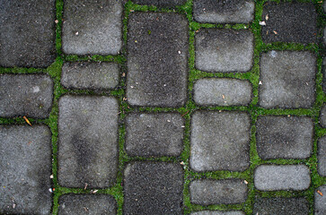 stone paving in the park overgrown with grass. Interesting background, wallpaper